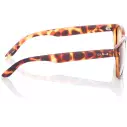 Oculos de sol Carve Bohemia