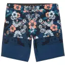 Badehose Vissla Gypsy Coast 18,5''