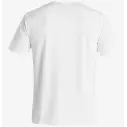 T-shirt UV  quiksilver Solid Streak