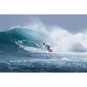 Surfboard Torq fish Colour Pinline (OP VOORRAAD)