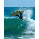 Softboard Ocean & Earth Freaks Bug