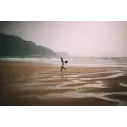 Surfbretter Pukas Tasty Treat