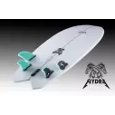 Surfbrett Lost Fish ' n ' roll!