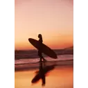 Tabla de surf Channel Island Black and White