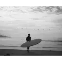 Surfboard Channel Island Black and White