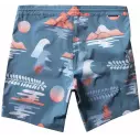 Badehose Vissla Trip 17,5''