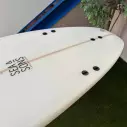 Surfbrett evolutionäre SEA & SONS