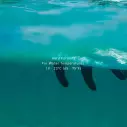 La Paraffina Ocean & Earth Max Wax