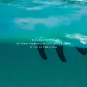 Wax Ocean & Earth Max Wax