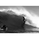Tabla de surf Slater Designs Great White
