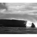 Surfbrett Slater Designs Great White