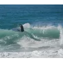 Tavola Da Surf Slater Designs Sci-Fi 2.0
