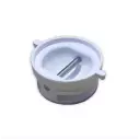 Wit