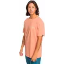 T-shirt Quiksilver Tradesmith canyon clay