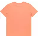 T-shirt Quiksilver Tradesmith canyon clay