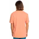 T-shirt Quiksilver Tradesmith canyon clay