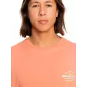 Camiseta quiksilver Tradesmith canyon clay