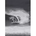 Tavola Da Surf Channel Island Fishbeard