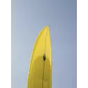 Surfboard Pukas Magnetic Flying