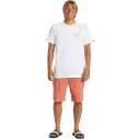 Quiksilver Everyday Union Light Canyon Clay corto