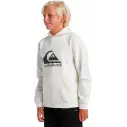 Sudadera Quiksilver big logo Beige