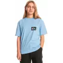 Camiseta quiksilver Back Flash Hydrangea Junior