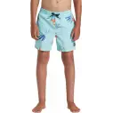 Badehose quicksilver Surfsilk Tijuana Dark Navy