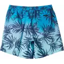 Badehose quicksilver Surfsilk Tijuana Dark Navy