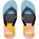 flip flops Quiksilver Molokai Art Blue 1