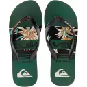 flip flops Quiksilver Molokai Art Blue 1