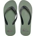 Chanclas Quiksilver Molokai Art Blue 1