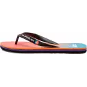 flip flops Quiksilver Molokai Art Blue 1