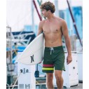 Boardshorts quicksilver Surfsilk Tijuana Dark Navy