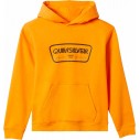 Felpa Quiksilver Graphic Youth Hoodie Orange