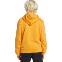 Sudadera Quiksilver Graphic Youth Hoodie Orange