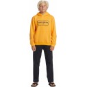 Felpa Quiksilver Graphic Youth Hoodie Orange