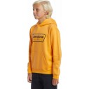 Felpa Quiksilver Graphic Youth Hoodie Orange