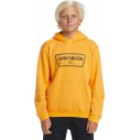 Felpa Quiksilver Graphic Youth Hoodie Orange