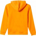 Felpa Quiksilver Graphic Youth Hoodie Orange
