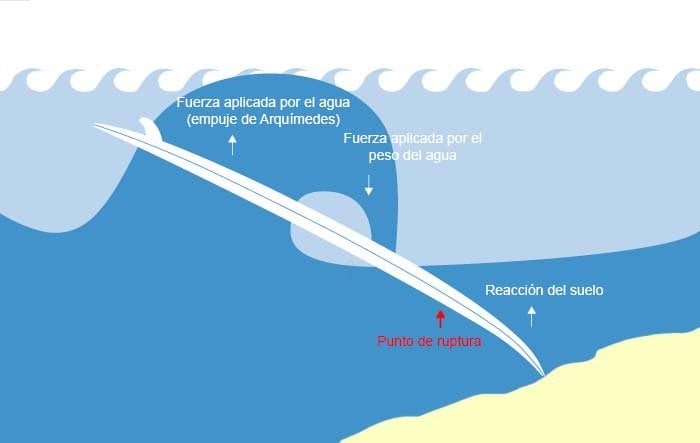 golpe de una tabla de surf contra el fondo